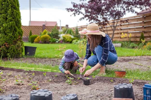 Kinder- und Muttergartenarbeit im Gemüsegarten im Hinterhof