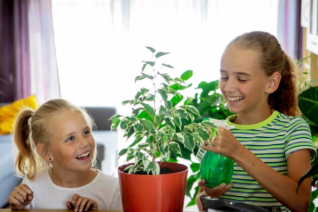 Kinder wässern Ficus