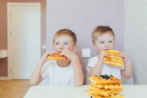 Kinder, zwei kleine Jungen, die morgens mit Waffeln zu Hause in der Küche frühstücken