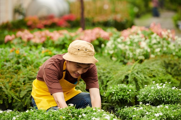 Kindergärtnerin, die Blumen pflanzt