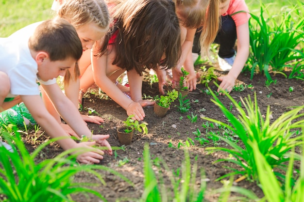 Kinderhände, die jungen Baum auf schwarzem Boden zusammen als das Weltkonzept der Rettung pflanzen