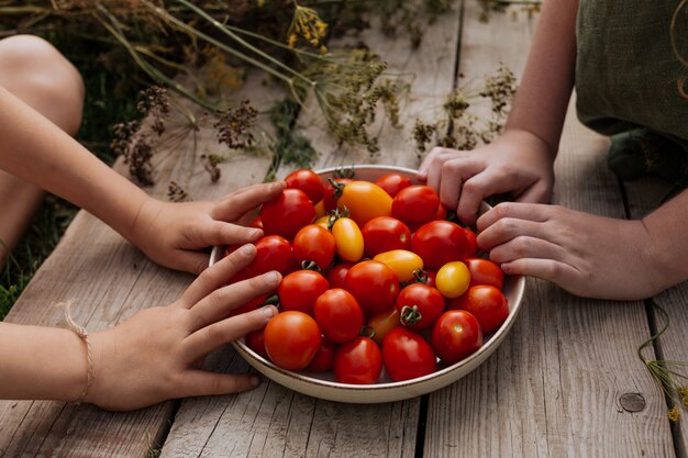 Kinderhände greifen nach einem Teller mit roten Tomaten, die auf einem Holztisch stehen.