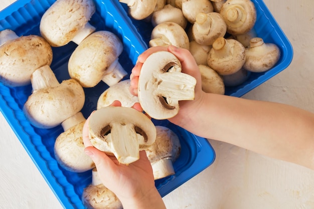 Kinderhände halten Champignons