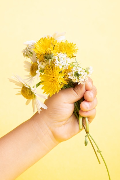 Kinderhand, die ein Gänseblümchen vor dem Gelb hält