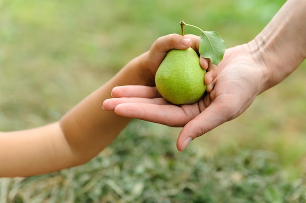 Kinderhand mit Birne