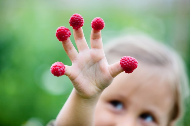 Kinderhand mit Himbeere