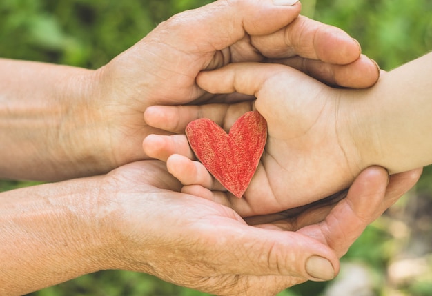 Kinderhand und alte Großmutter halten Herz