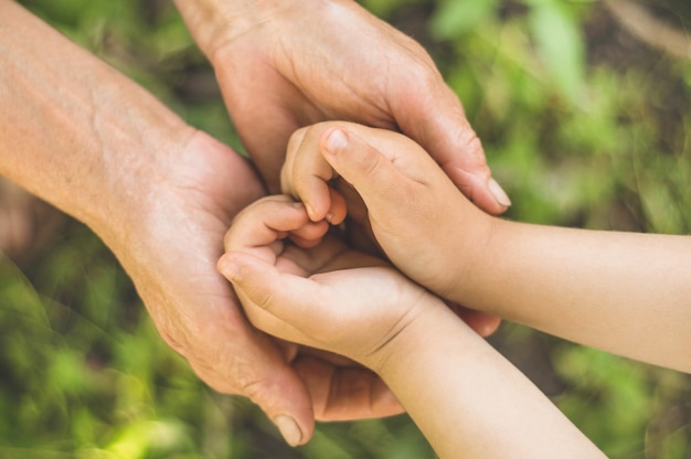 Kinderhand und alte Großmutter halten Herz