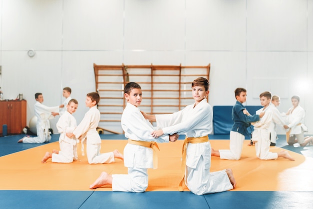 Kinderjudo, kinder im kampftraining, kampfkunst