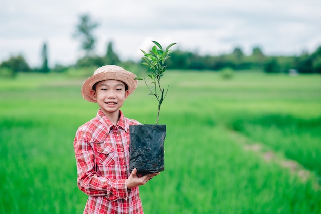 Kinderjunge, der die Aussaat des Orangenbaums zum Pflanzen des Baumes in Bio-Garten-Ackerland hält