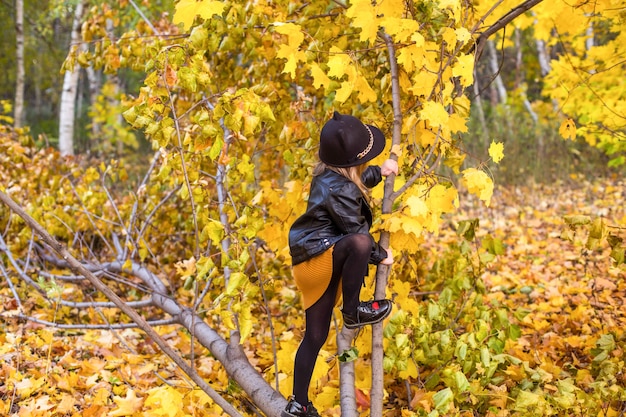 Kindermädchen, das Klettern auf einem Baum in der sonnigen Natur des Herbstes spielt