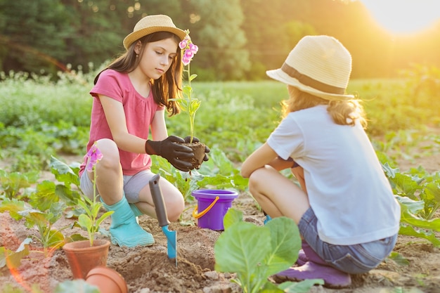 Kindermädchen, die blühende Topfpflanze im Boden pflanzen. Kleine schöne Gärtner in Handschuhen mit Gartenschaufeln, ländliche Landschaft des Hintergrundfrühlingssommers, goldene Stunde