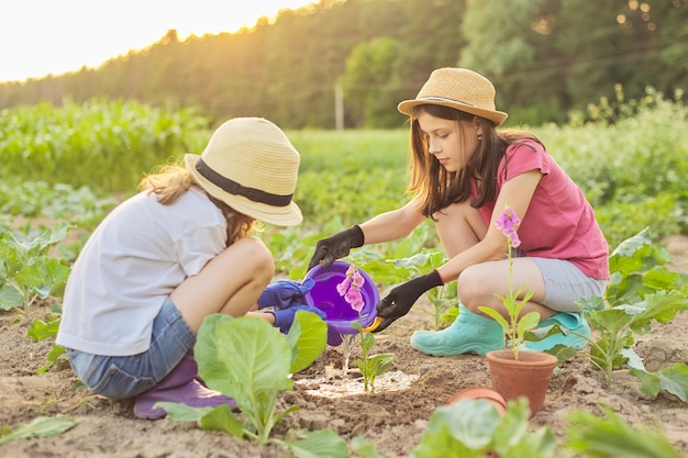 Kindermädchen, die blühende Topfpflanze in Boden pflanzen.