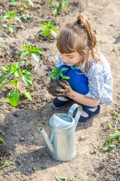 Kinderpflanzen und bewässerungsanlagen im garten.