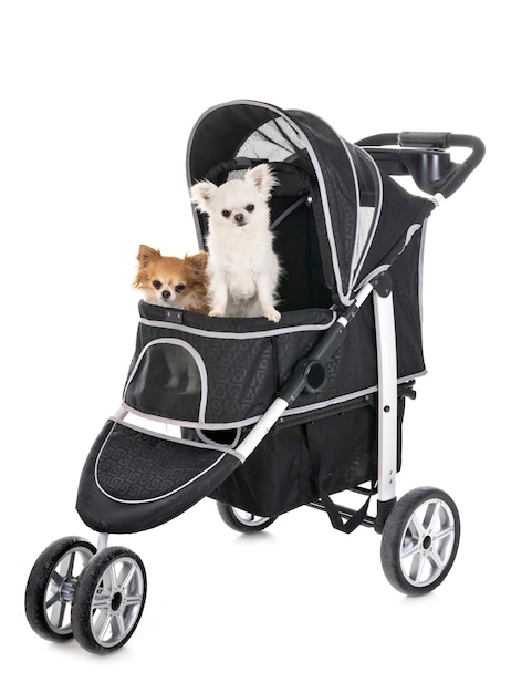 Foto kinderwagen für hund