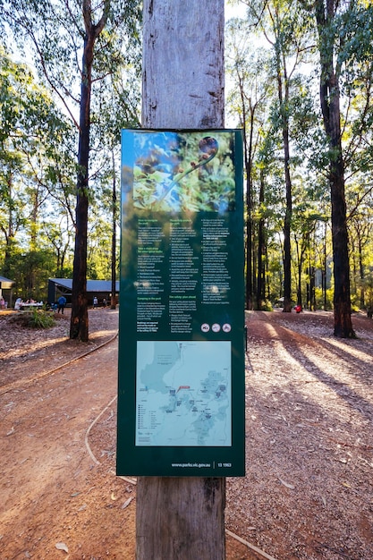 KINGLAKE AUSTRALIA 14 de mayo de 2023 Área de picnic y estacionamiento de Masons Falls en el Parque Nacional Kinglake en un fresco día de otoño en Melbourne Victoria Australia