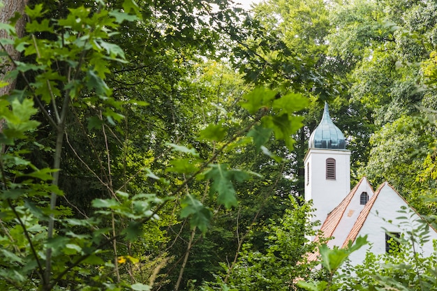 Kirche versteckt zwischen den Bäumen eines Waldes