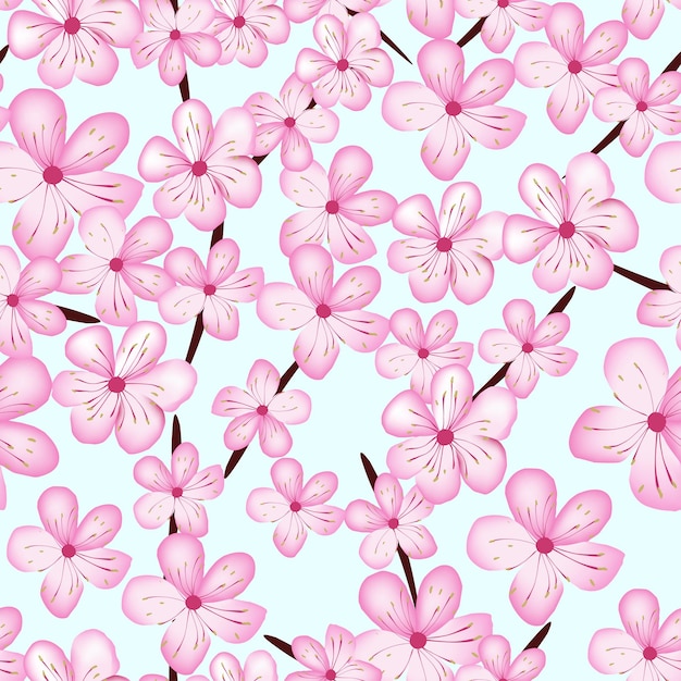 Kirschblüte im Frühling rosa Blüte