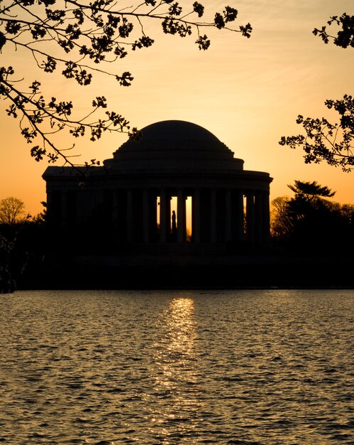 Kirschblüte und Jefferson Memorial