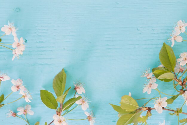 Kirschblüten auf Holz