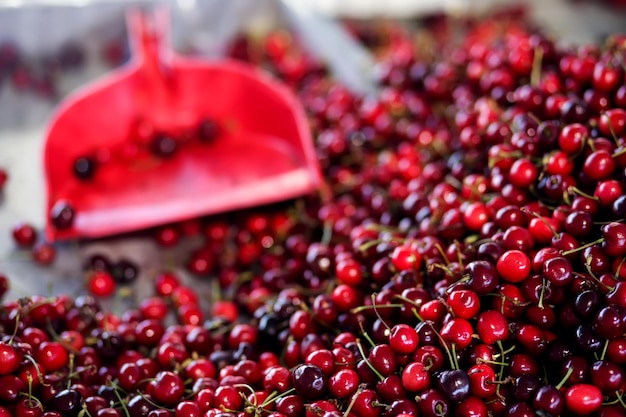 Kirsche Frische Bio-Beeren zum Verkauf auf dem Markt Fruchthintergrund hautnah