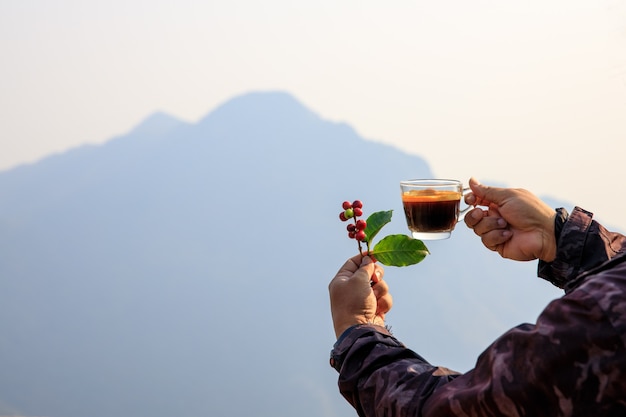 Kirsche rohe Kaffeebohne und heiße Kaffeetasse auf Händchenhalten und natürlichem Berg