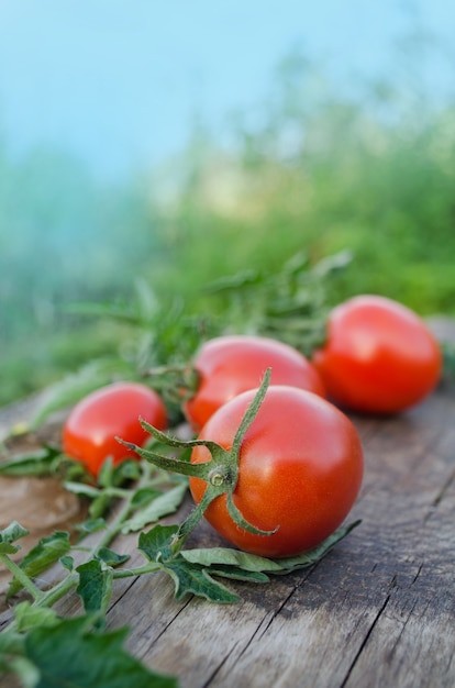 Kirschtomaten auf altem Holztisch