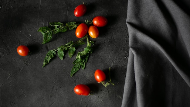 Kirschtomaten auf dunklen und grünen Blättern, Draufsicht