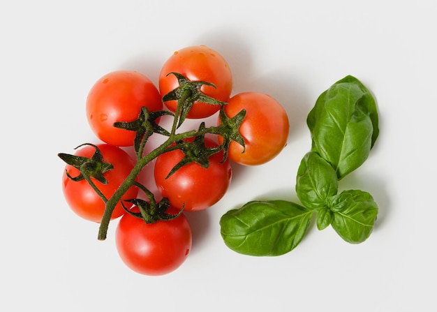 Kirschtomaten auf Zweig mit Basilikumblättern auf weißem Hintergrund