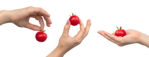 Kirschtomaten in der Hand, Fotosatz, Bannerdesign, isoliert auf weißem Hintergrund