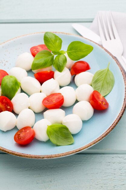 Kirschtomaten, Mozzarella, Basilikum und Gewürze auf grauer Schiefersteintafel. Italienische traditionelle Caprese-Salatzutaten. Mediterranes Essen.