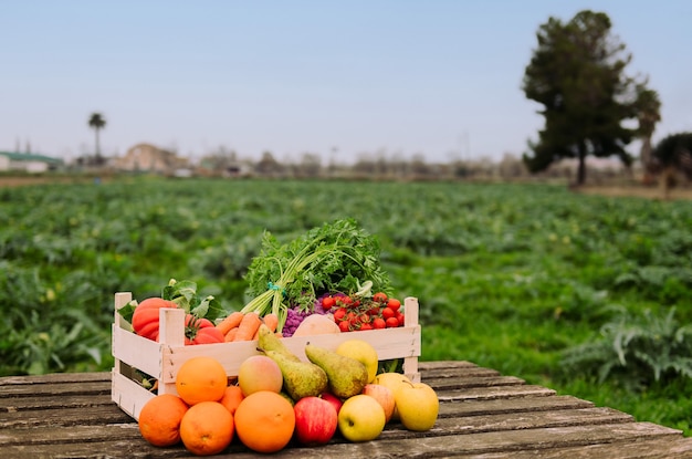 Kiste mit Gemüse und Obst in einem Getreidefeld