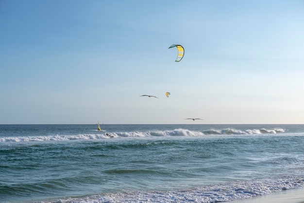Kiteboarder und Vögel gegen den blauen Himmel am Strand