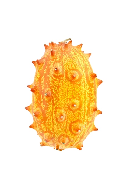 Kiwano-Melonenfrucht oder afrikanische gehörnte Gurke lokalisiert auf weißem Hintergrund