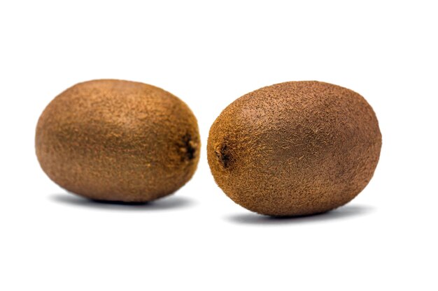Kiwi auf weiß