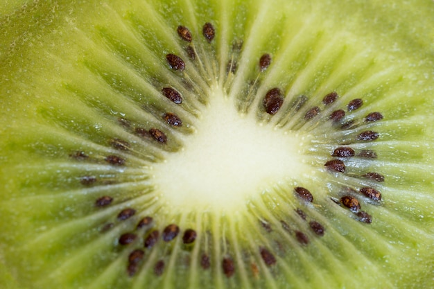 Kiwi como pano de fundo