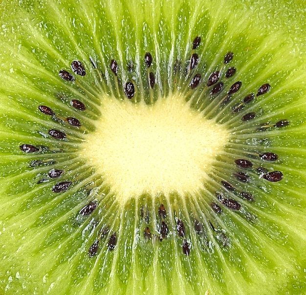 Kiwi-Frucht hautnah auf weißem HintergrundFrucht für hallo Vitamin C Vitamin C zum Schutz des Virus