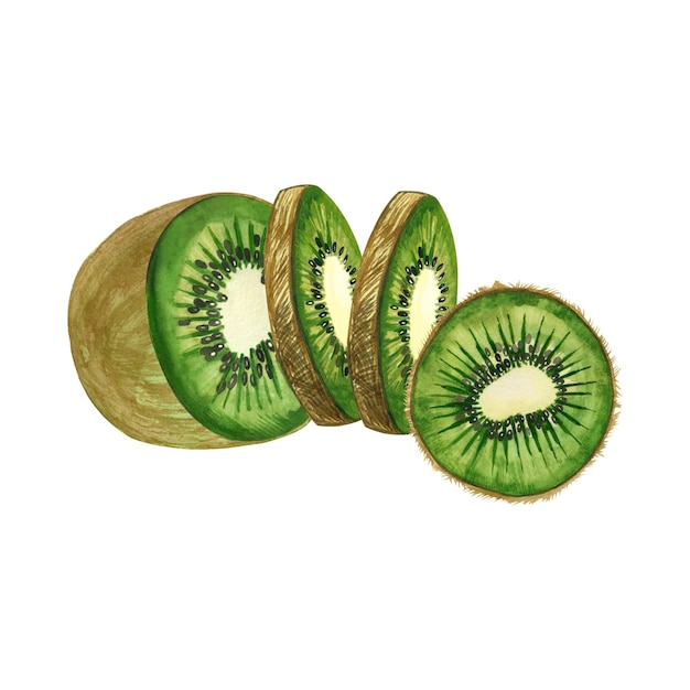 Kiwi verde desenhado em aquarela Ilustração a aquarela Meio kiwi e fatias de kiwi isoladas em um fundo branco adequado para impressão em tecido e papel para livros, menus e design de cozinha