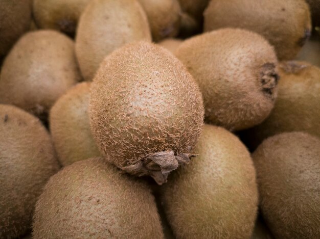 Foto kiwis deliciosos