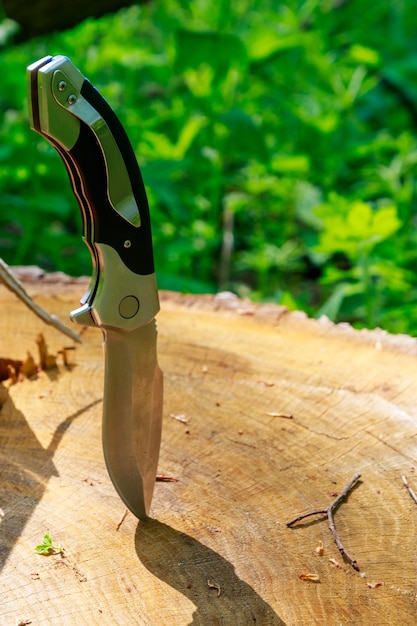 Klappmesser, das aus einem Holzstumpf im grünen Wald herausragt