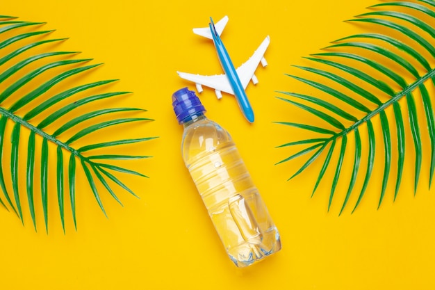 Klare Wasserflasche und Spielzeugflugzeug. Tourismus und klares Wasserkonzept