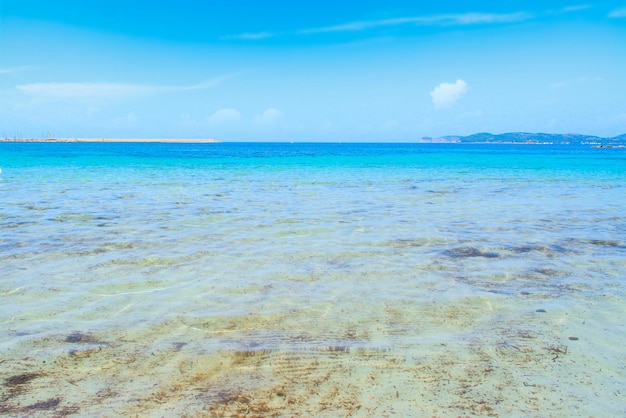 Klarer Himmel über der Küste von Alghero Sardinien