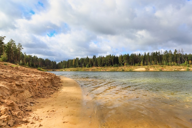 Klarer Waldsee am Strand