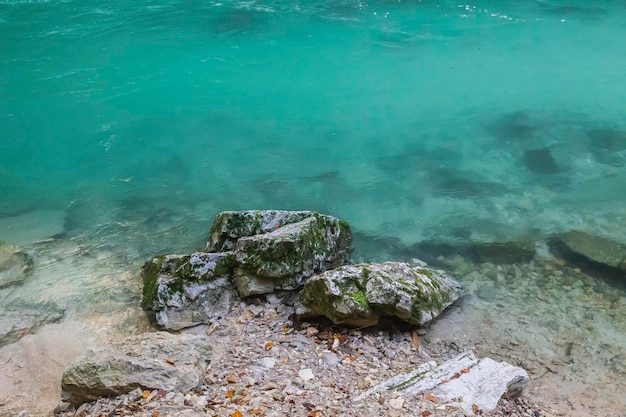 Klares türkisfarbenes Wasser am Steinufer in Slowenien