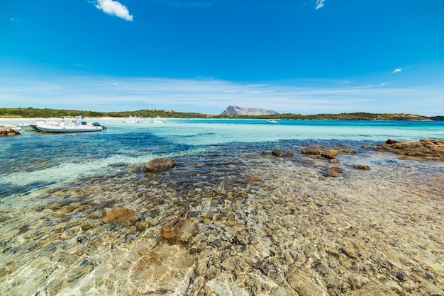 Klares Wasser in Cala Brandinchi Sardinien