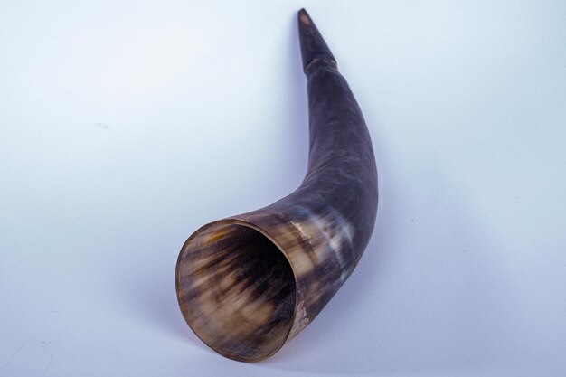Foto klassische antike ein trinkkuhhorn ist das horn eines rindes, das als trinkgefäß verwendet wird