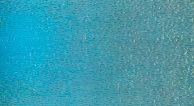 klassische blaue Mosaikfliese im Pool