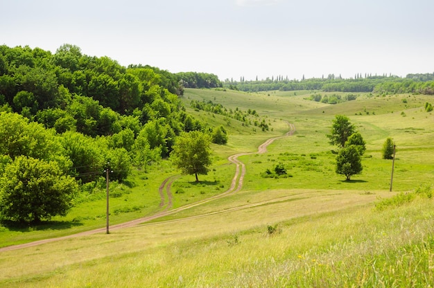 Klassische ländliche Sommerlandschaft von Sumy Ukraine Eine kurvenreiche Schotterstraße zwischen grünen Hängen und Wald