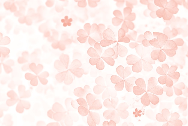 Kleeblätter in rosa Tönung