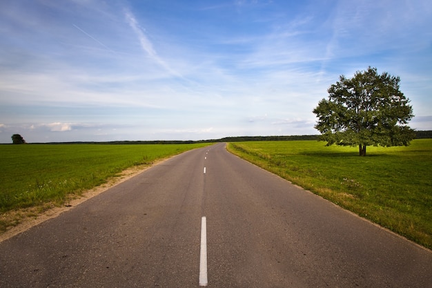 Kleine asphaltierte straße im sommer